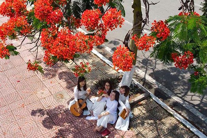 Tháng 5 về mang theo bao màu sắc, hương thơm, âm thanh đặc trưng của những ngày hạ chói lửa. Ảnh: Internet.