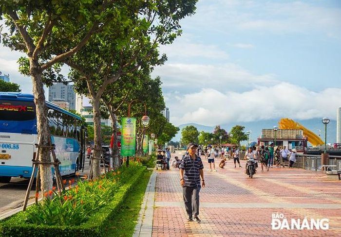 Có thể thấy rằng, cây mù u đang là một loại cây rất thích hợp trong việc làm cây cho bóng mát tại các tuyến đường ven sông hay các đoạn tuyến kênh trên địa bàn thành phố.