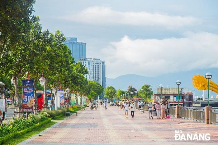 Người dân đi dạo trên đường Bạch Đằng - nơi cây mù u đang rực sắc, tỏa hương thơm đặc trưng rất quyến rũ.
