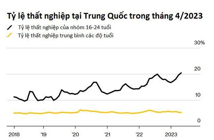 Số người trẻ thất nghiệp ở Trung Quốc cao gấp 4 lần trung bình. Nguồn: Bloomberg.