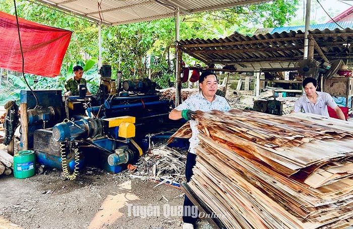 Nhiều xưởng bóc gỗ ván ép ở Đồng Cướm, xã Trung Sơn (Yên Sơn) giải quyết việc làm cho nhiều lao động địa phương.