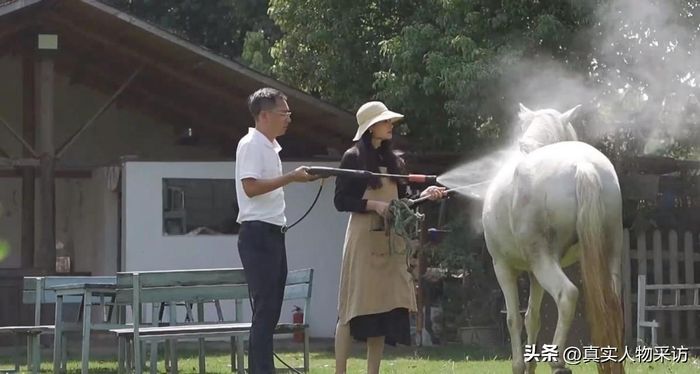Cô Trần Dật Hiên đã cải tạo chúng thành nhà ở và trang trại đáng sống