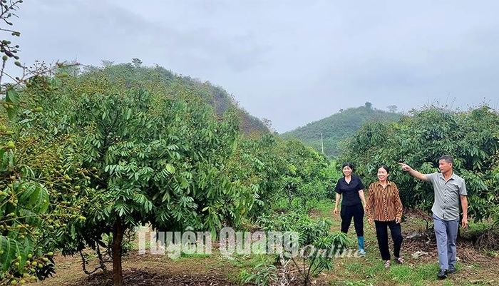 Cán bộ thôn tham quan vườn nhãn của gia đình chị Trần Thị Thảo (ở giữa).