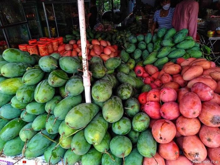 Xoài đỏ bán ngập chợ này được trồng ở Việt Nam, giá chỉ khoảng 50.000 đồng/kg 