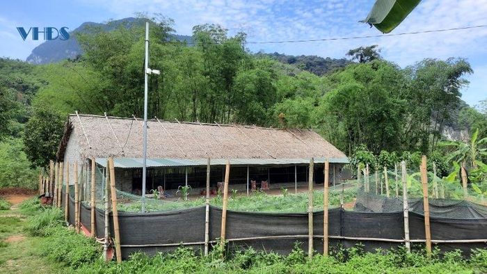 Mô hình chuồng trại chăn nuôi gà được anh Phúc lắp đặt camera để quan sán, quản lý