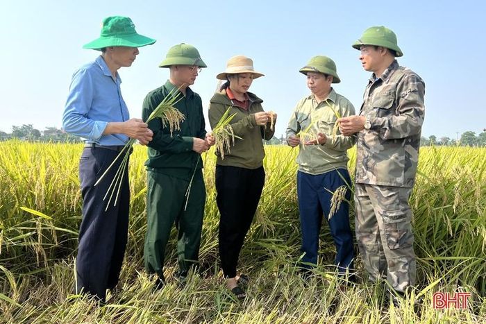 Lãnh đạo huyện kiểm tra tiến độ thu hoạch vụ xuân