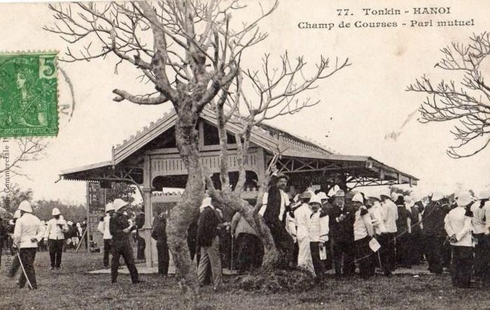 Quần ngựa Hà Nội, nơi khách Âu gặp gỡ và ăn uống trước trận đấu