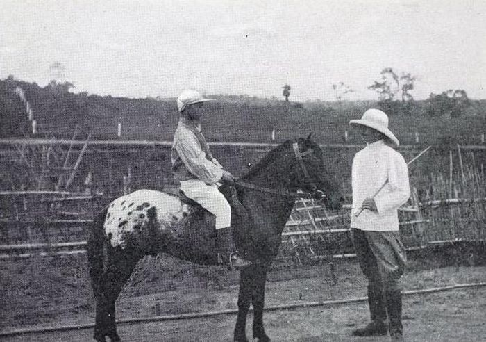Một nài ngựa