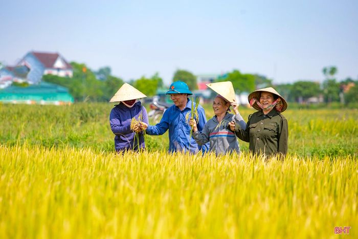 Đối với bà con nông dân thôn Hoa Thám, xã Cẩm Lạc (huyện Cẩm Xuyên), với hơn 50 ha ruộng đất được chuyển đổi hoàn toàn gắn với cấp lại giấy chứng nhận quyền sử dụng đất, mùa lúa năm nay thật đặc biệt. Tiếng nói cười hân hoan trên đồng ruộng báo hiệu những tín hiệu tích cực của chủ trương lớn đã thực sự đi vào thực tiến sản xuất.