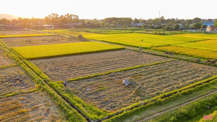 Khoác lên mình hương thơm lúa mới, mùi của rơm rạ, mùi khói đốt đồng, những miền quê Hà Tĩnh hiện lên như một bức tranh yên bình và thân thuộc... Ảnh: Người nông dân tất bật trên cánh đồng lúa ở xã Cẩm Mỹ, huyện Cẩm Xuyên.