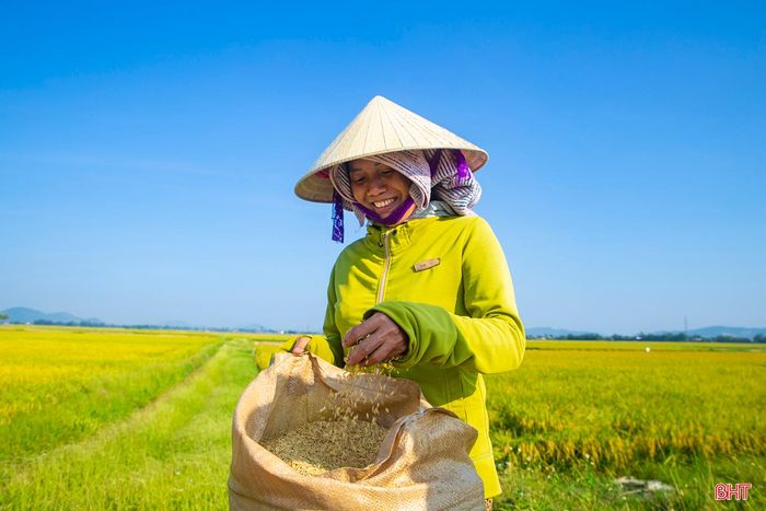 Hương lúa mới tỏa ra ngào ngạt trên tay người nông dân xã, ánh lên niềm tươi vui của một vụ thu hoạch được mùa, được giá.