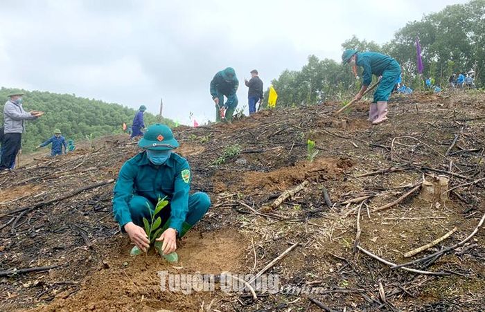 Huyện Hàm Yên trồng rừng, phủ xanh đất trống, giảm nhẹ thiên tai.