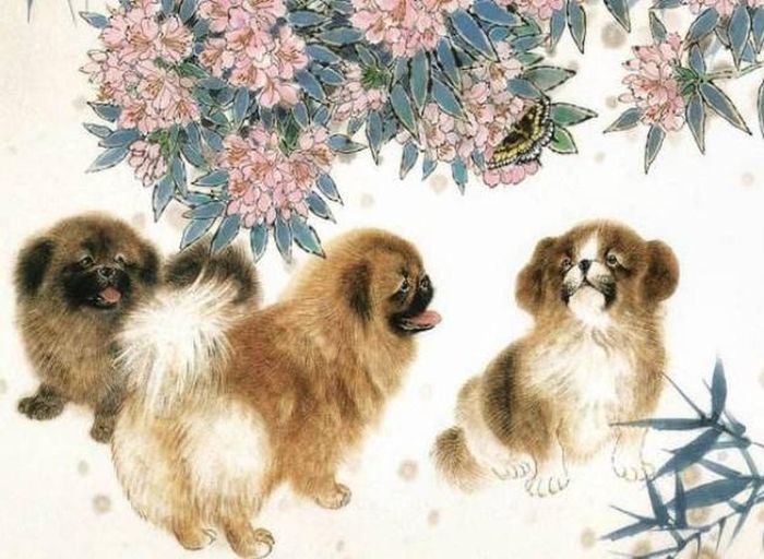 Người tuổi Tuất nên quan tâm nhiều hơn nữa đến nửa kia. Phiền phức trong công việc giảm bớt. Tài vận tốt, có thêm nhiều cơ hội phát tài. Sức khỏe bình thường, không nên thức quá khuya. 
