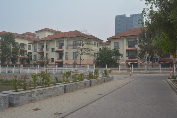 Những bồn cây được trồng mới có chức năng như hàng rào, tạo cảm giác mới lạ, xanh mát cho hồ Tây