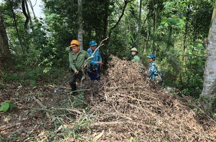 Việc thu gom và xử lý thực bì chủ động được thực hiện thường xuyên nhằm giảm nguy cơ cháy rừng.