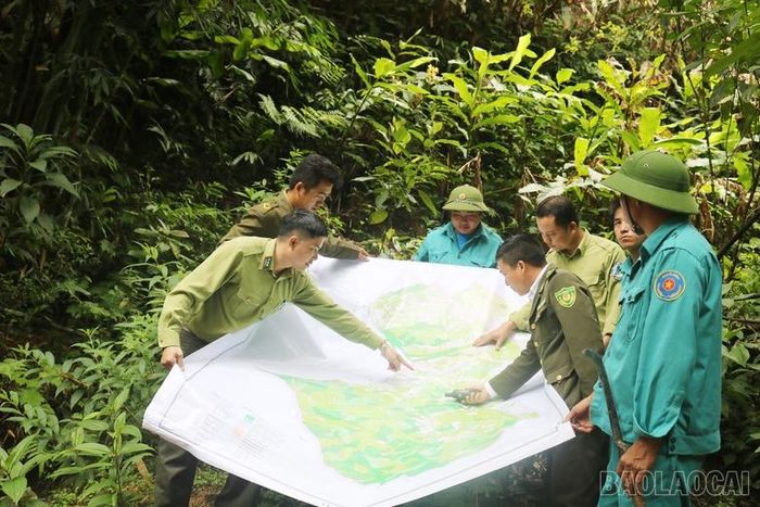 Cán bộ kiểm lâm địa bàn phối hợp với tổ bảo vệ rừng các thôn tuần tra rừng.