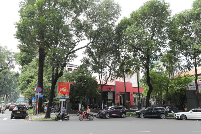 Trước đây, Phin Deli Hồ Con Rùa thu hút nhiều khách hàng nhờ mặt bằng ở vị trí đắc địa, không gian lại rộng rãi, thoáng đãng với view đẹp. Do đó, sự rời đi để lại khá nhiều tiếc nuối.