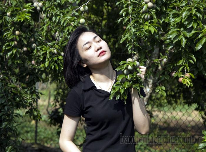 Đây cũng là địa điểm lý tưởng với những người thích khám phá và lưu lại những bức ảnh đẹp về mùa mận Phiêng Ban.