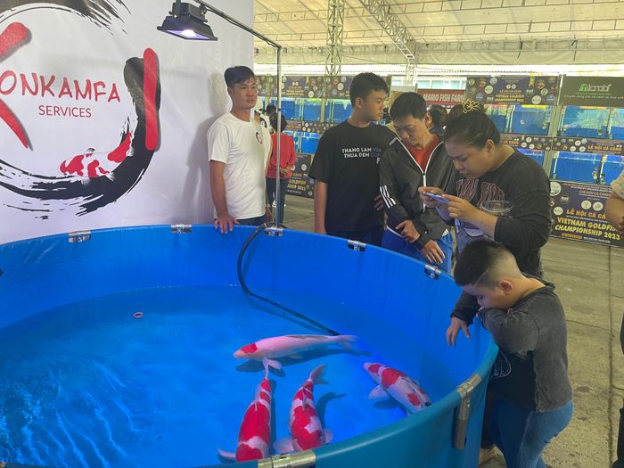 Lễ hội trưng bày nhiều cá cảnh giá trị cao