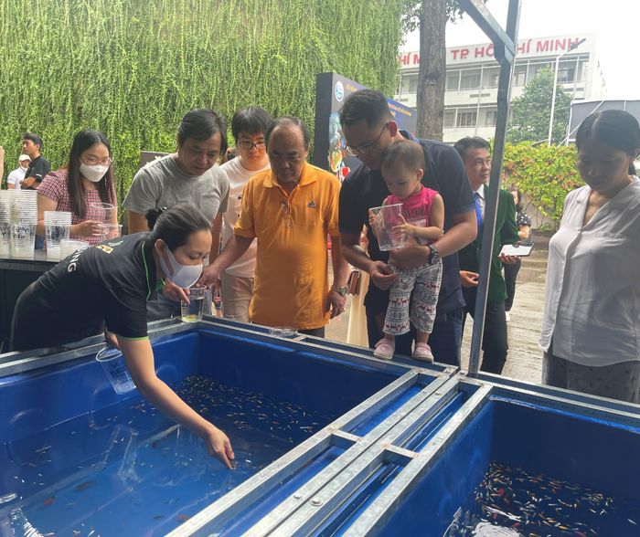 Nhiều trẻ em, người lớn thích thú với cá cảnh rực rỡ màu sắc