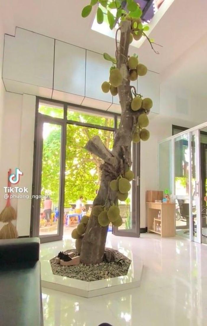 Thậm chí, vì quá khó tin mà không ít cư dân mạng đã bình luận cho rằng hình ảnh kia "ghép ảnh lộ quá, nhưng mà nhìn vẫn khoái".
