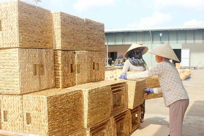 Chỉ tính riêng Công ty TNHH Sản xuất - thương mại thủ công mỹ nghệ Việt Thành (xã Phú Hòa, H.Định Quán), mỗi tháng xuất khẩu khoảng 9 ngàn sản phẩm các loại từ lục bình ra thị trường các nước khác nhau trên thế giới