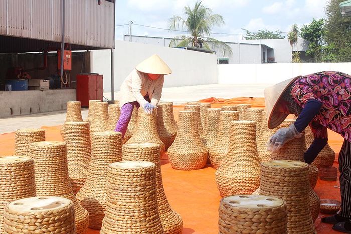 Để đảm bảo chất lượng, tránh ẩm mốc sau đan lát, lục bình sẽ được những người thợ đem đi phơi. Mùa nắng, sản phẩm được phơi dưới ánh mặt trời tự nhiên, mùa mưa thì sử dụng máy sấy