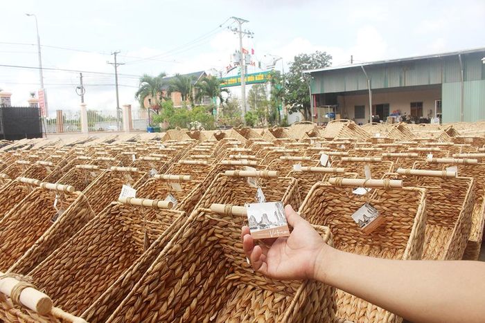 Trên nhãn mác của các sản phẩm làm từ lục bình, các cơ sở in hình đất nước Việt Nam, các danh lam thắng cảnh, điểm du lịch nổi tiếng trong nước để quảng bá hình ảnh Việt Nam ra thế giới