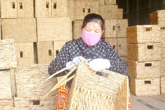 Lục bình được bàn tay khéo léo, tỉ mỉ của những người thợ đan lát thành nhiều sản phẩm khác nhau như: túi xách, giỏ, rổ, bàn, ghế…