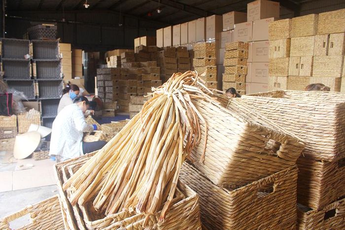 Nhờ lục bình, nhiều người dân ở huyện miền núi Định Quán có thêm việc làm với nguồn thu nhập ổn định từ 8-10 triệu đồng/tháng