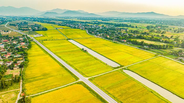 Những cánh đồng lúa chín vàng xen lẫn nhà dân và những ngọn núi trùng điệp tạo nên vẻ đẹp hùng vĩ.