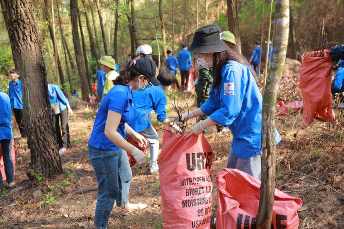Anh Đặng Ngọc Minh – Bí thư Huyện Đoàn Quỳnh Lưu chia sẻ: “Bảo vệ rừng vừa là nghĩa vụ, là trách nhiệm của cả hệ thống chính trị và toàn dân, trong đó có đoàn viên thanh niên. Để triển khai có hiệu quả công tác bảo vệ rừng và phòng chống cháy rừng, Ban Thường vụ Huyện đoàn đã đề nghị tổ chức Đoàn trong toàn huyện tập trung đẩy mạnh công tác tuyên truyền các chủ trương, chính sách của Đảng, pháp luật của Nhà nước về công tác bảo vệ rừng và phòng cháy chữa cháy rừng".
