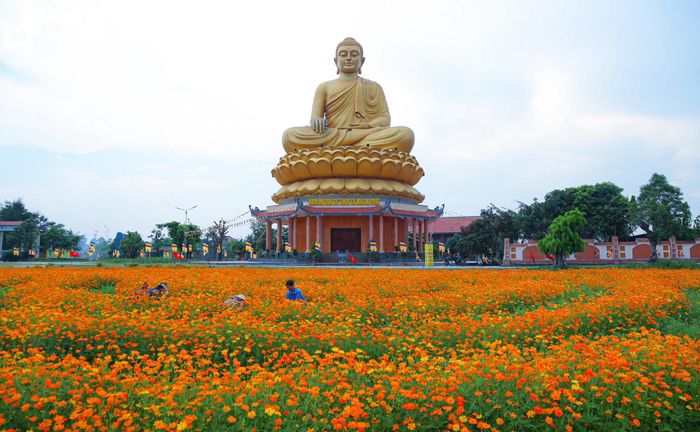 Dịp này, không gian của các chùa đều trở nên tươi đẹp, lung linh. Trong ảnh: Cảnh quan chùa Phúc Lạc xã Nghi Thạch (Nghi Lộc). Ảnh: Lê Khương