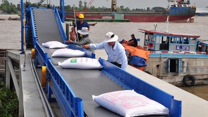 Gạo Việt Nam có nhiều cơ hội xuất khẩu sang châu Phi. Ảnh: TL