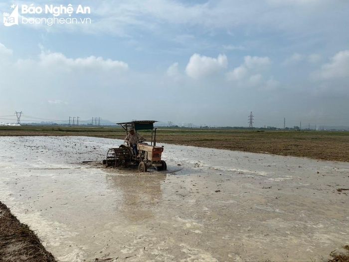 Đẩy nhanh tiến độ làm đất ở xã Diễn Xuân (Diễn Châu). Ảnh: Văn Trường
