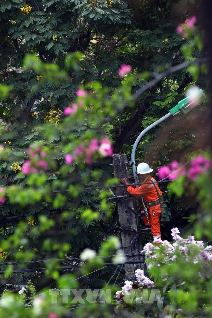 Những ngày hè, nhiệt độ ngoài trời của Hà Nội có khi lên tới hơn 40 độ C, người thợ điện Thủ đô vẫn nỗ lực để sửa chữa khi có sự cố xảy ra. Ảnh: Huy Hùng - TTXVN 