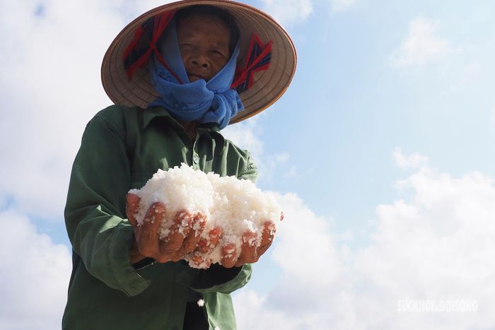 Hơi biển mặn chát cùng những giọt mồ hôi thấm đẫm lưng áo nhưng diêm dân luôn vui cười, khuôn mặt rạng rỡ niềm vui gánh những gánh muối trên vai. Đối với diêm dân, nghề làm muối không chỉ là một nghề để mưu sinh, mà đó chính là cuộc sống của họ.