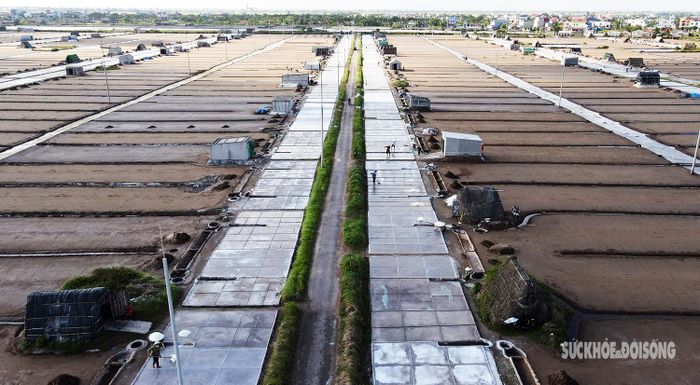 Cánh đồng muối xã Bạch Long từ xưa vốn là vùng đất được bãi biển bồi đắp thêm. Người dân từ khắp mọi nơi đổ về đây sinh sống, lập làng, lập xã. Đến nay, xã Bạch Long đã trở thành vùng đất màu mỡ với nghề chính là nghề làm muối.