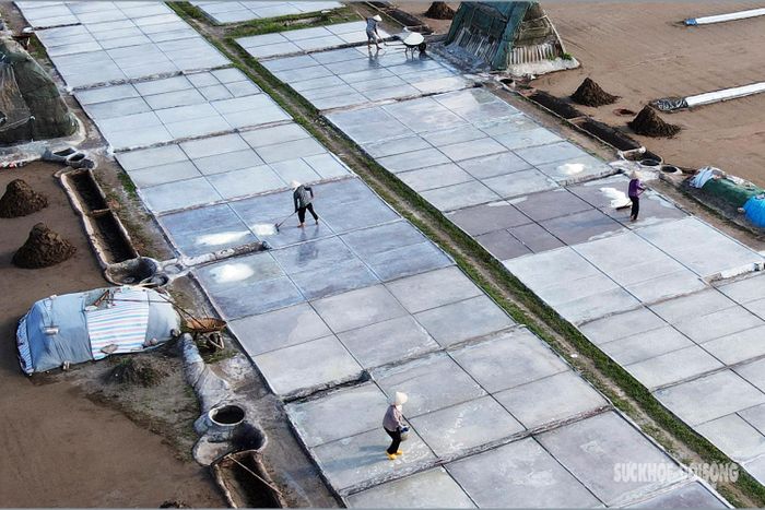 Có mặt trên cánh đồng muối ở xã Bạch Long vào những ngày nắng như "đổ lửa" chúng ta mới cảm nhận được sự vất vả của nghề làm muối – cái nghề phải “bán mặt cho biển, bán lưng cho trời” từ sáng đến chiều để làm ra những hạt muối trắng tinh.