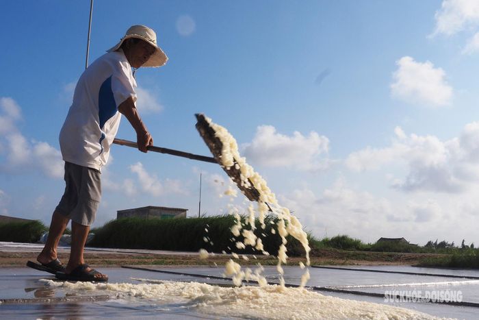 Dưới cái nắng như thiêu như đốt, hình ảnh những diêm dân in bóng dài trên cánh đồng muối đang đội nắng hối hả, tất bật dùng bạt, xẻng để gom những mẻ muối trắng ngần.