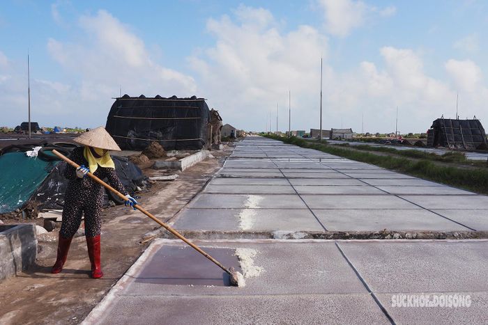 Thời điểm thích hợp để thu hoạch muối là 13 giờ chiều, khi bề mặt nước trên những thửa ruộng kết tinh thành hạt muối trắng nhỏ li ti. Lúc này công việc thu gom cát bắt đầu, diêm dân thu cát thành từng luống rồi xúc lên xe cút kít.