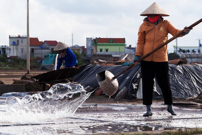 Việc đổ nước biển lên sân phơi được người dân làm hết sức thành thạo, ô nhỏ thì 2 bầu, ô lớn 3-4 bầu, lượng nước nhiều ít cũng phải tùy thuộc nắng to hay nhỏ, nếu không khéo muối sẽ bị “khê” hoặc không kết tinh được.