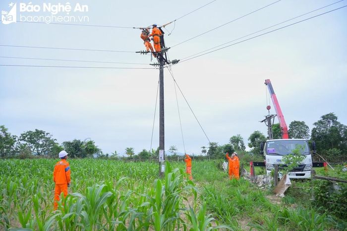 Điện lực Nghệ An sửa chữa, nâng cấp hệ thống lưới điện. Ảnh tư liệu BNA