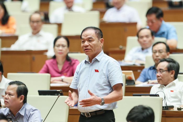 ĐB Lê Thanh Vân tranh luận (Ảnh: Quang Vinh).