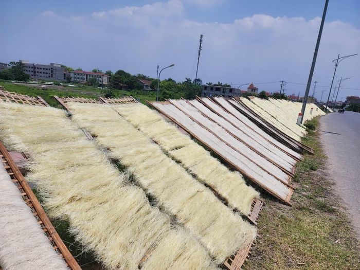 Những ngày này, trên khắp cánh đồng, đường đê, những giàn phơi bằng sắt, tre, nứa… được người dân dựng lên vừa khít với khuôn các phên bánh. 
