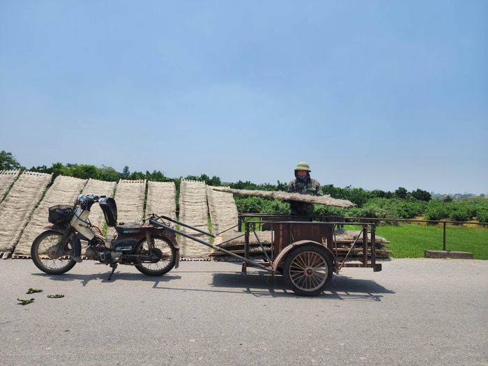 Hiện nay, nghề làm miến dong đã góp phần giải quyết quyết việc làm cho hàng ngàn người dân trong xã. Không những thế, còn tạo việc làm cho lao động từ các nơi khác đến với thu nhập trung bình 10 triệu đồng/tháng. 