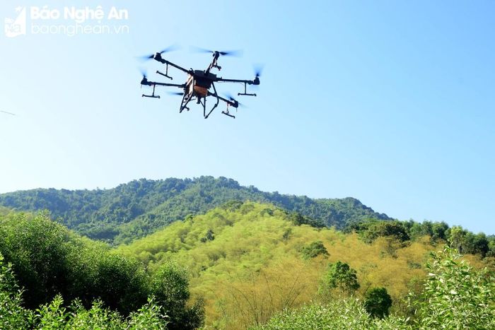 Máy bay được điều khiển vào vùng rừng mét để phun thuốc. Ảnh: Xuân Hoàng