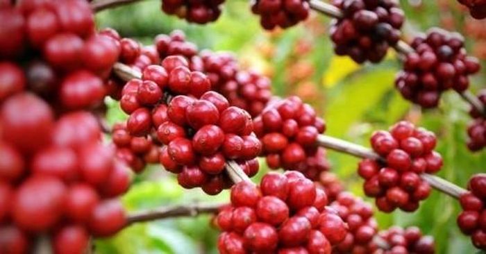Ảnh minh họa.https://kinhtexaydung.petrotimes.vn