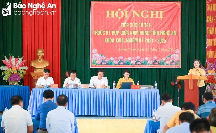 Ảnh: Thành Cường