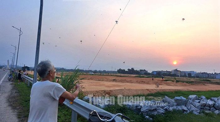 Không chỉ thanh thiếu niên mà các cụ ông vẫn đam mê với diều.